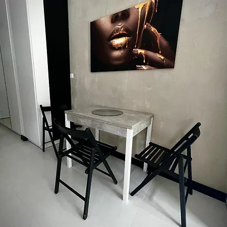 Apartament Sophia & Maya - Luksusowe Z Tarasem Blisko Centrum Katowic *