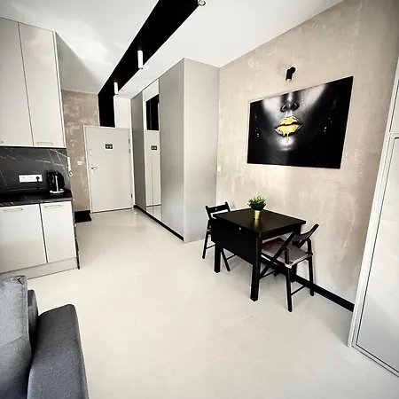 Apartment Sophia & Maya - Luksusowe Z Tarasem Blisko Centrum Katowic *