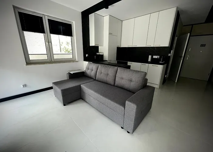 Sophia & Maya - Luksusowe Z Tarasem Blisko Centrum Katowic - Prywatny Parking - Self Check-in 24h שורזוב